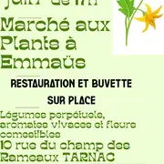 Marché aux plants à l'Emmaüs montagne limousine