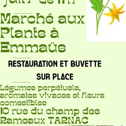 Marché aux plants à l'Emmaüs montagne limousine