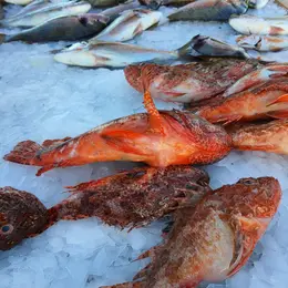 Marché aux Poissons