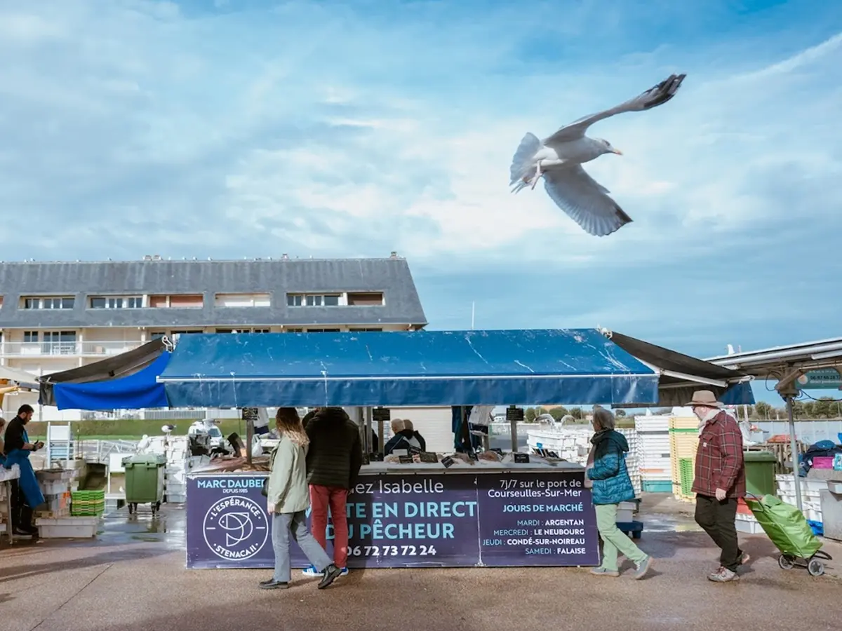 Marché aux poissons - Courseulles-Sur-Mer