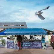 Marché aux poissons - Courseulles-Sur-Mer