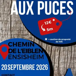 Marché aux puces à Ensisheim