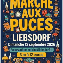 Marché aux puces à Liebsdorf