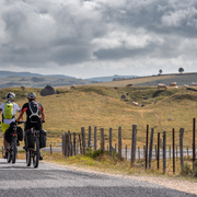 Marché Aux Puces Spécial Articles De Sport