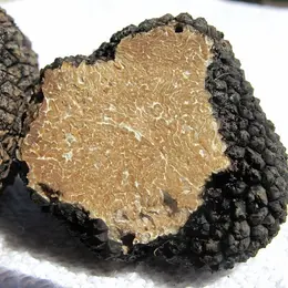 Marché aux truffes