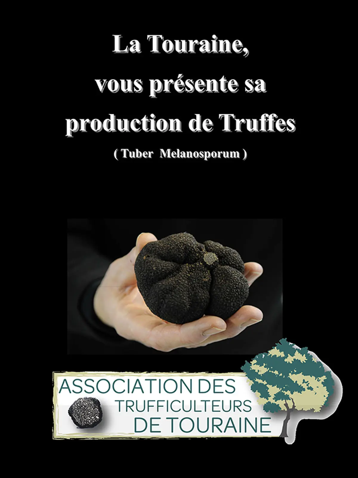 Marché aux Truffes