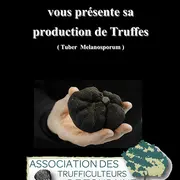 Marché aux Truffes