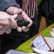 Marché aux truffes