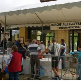 Marché aux Truffes de Sainte-Alvère