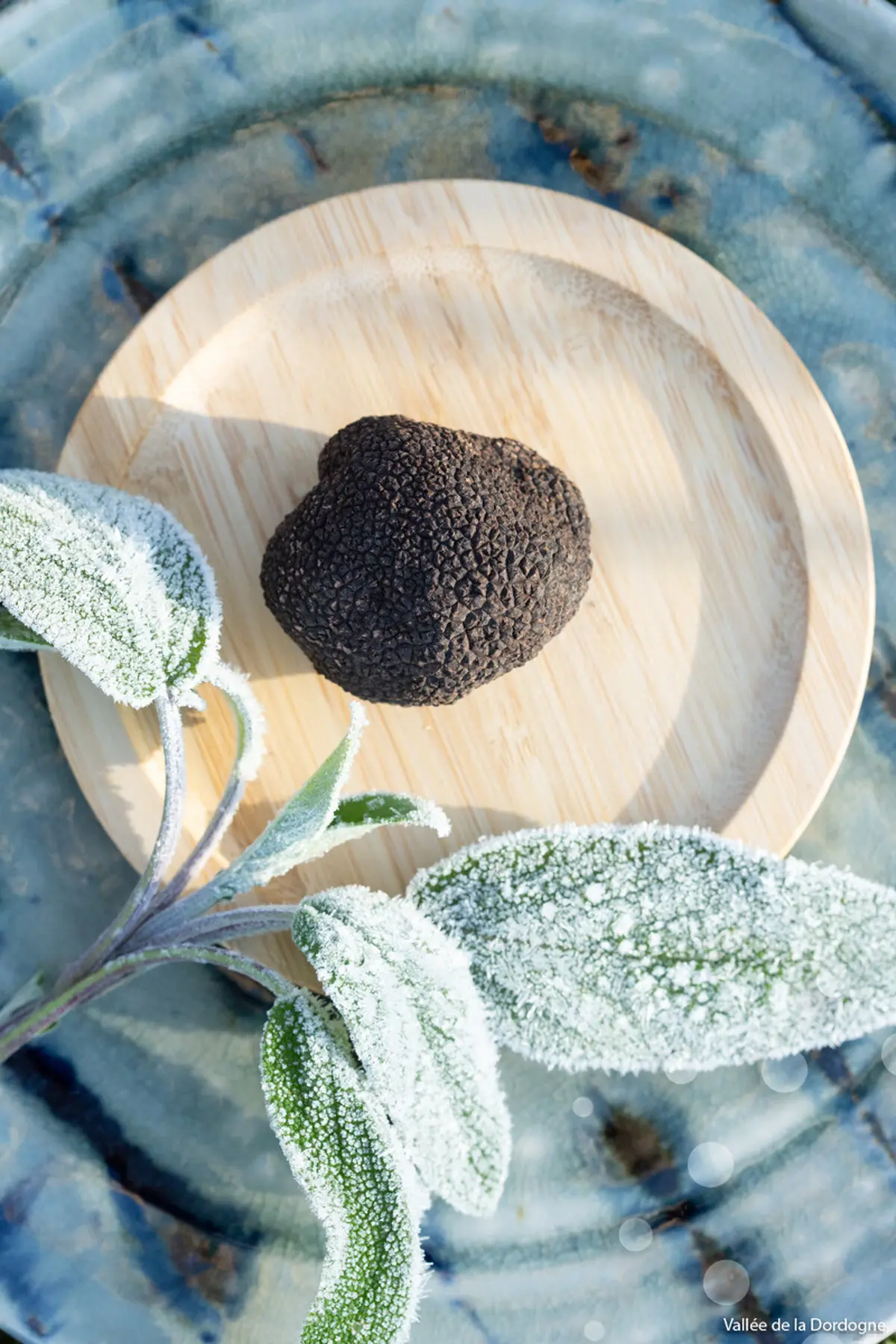 Marché aux Truffes de Sarrazac