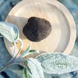 Marché aux Truffes de Sarrazac