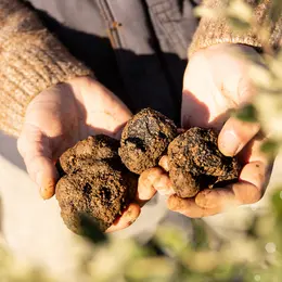 Marché aux Truffes de Souillac