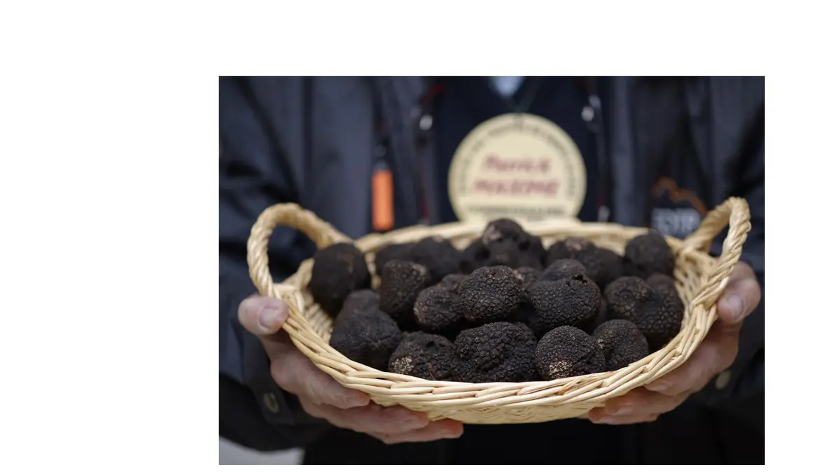 Marché aux truffes - Dimanches matins Décembre et janvier - Sorges