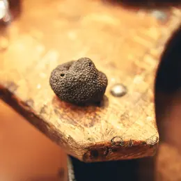 Marché Aux Truffes & Produits De L'Aude
