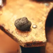 Marché Aux Truffes Et Produits Du Terroir