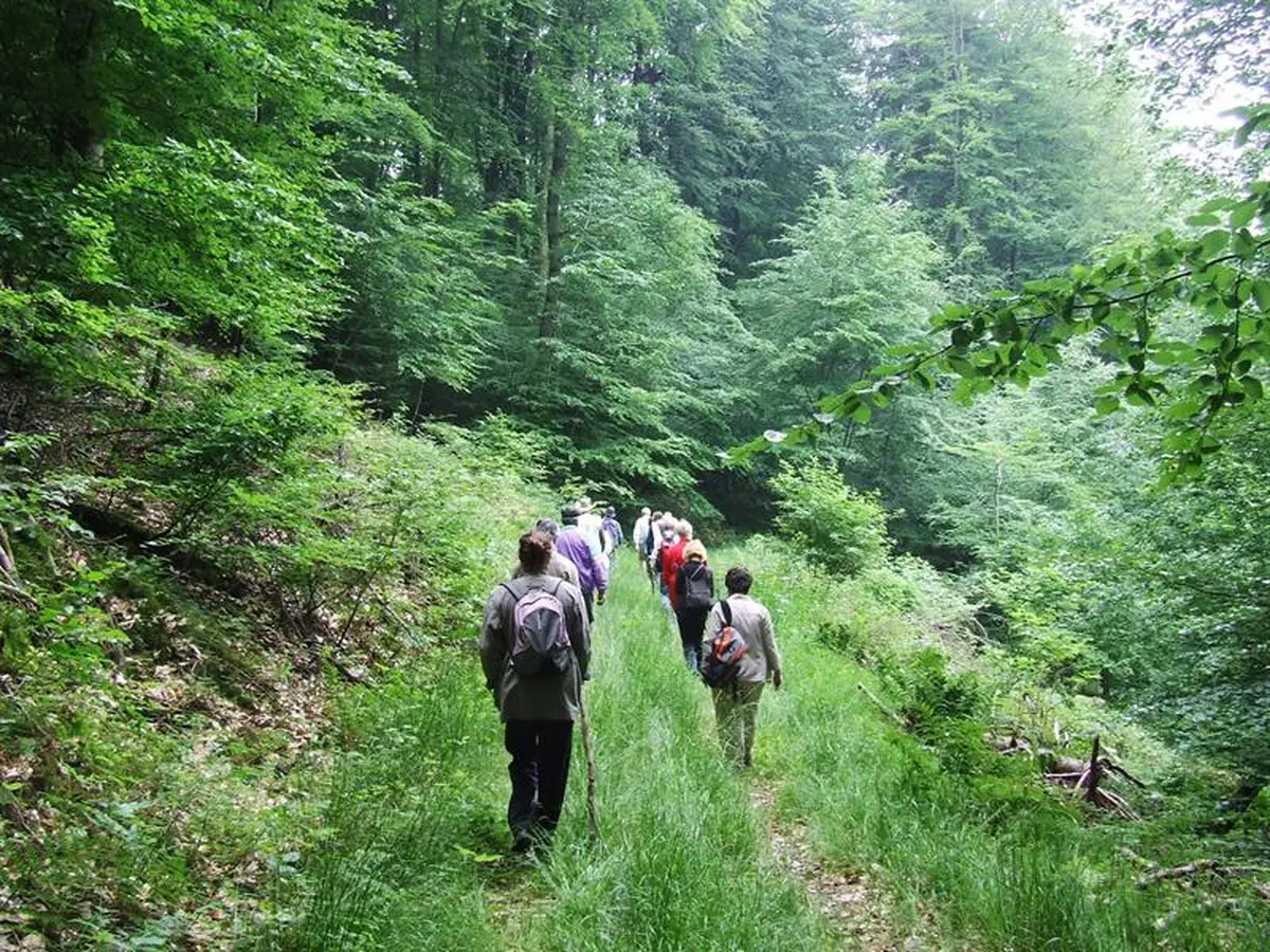 Marche avec Loisirs Vélo Hombourg