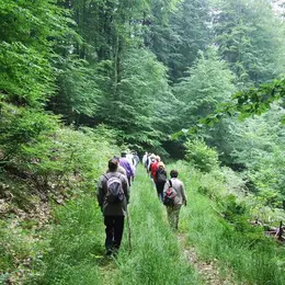 Marche avec Loisirs Vélo Hombourg