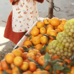 Marché Bio ASTER Veyrac