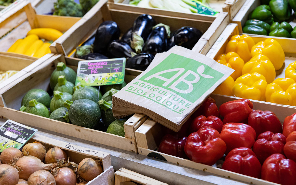 Etal légumes bio  marché Batignolles