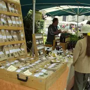 Marché bio et aux plantes