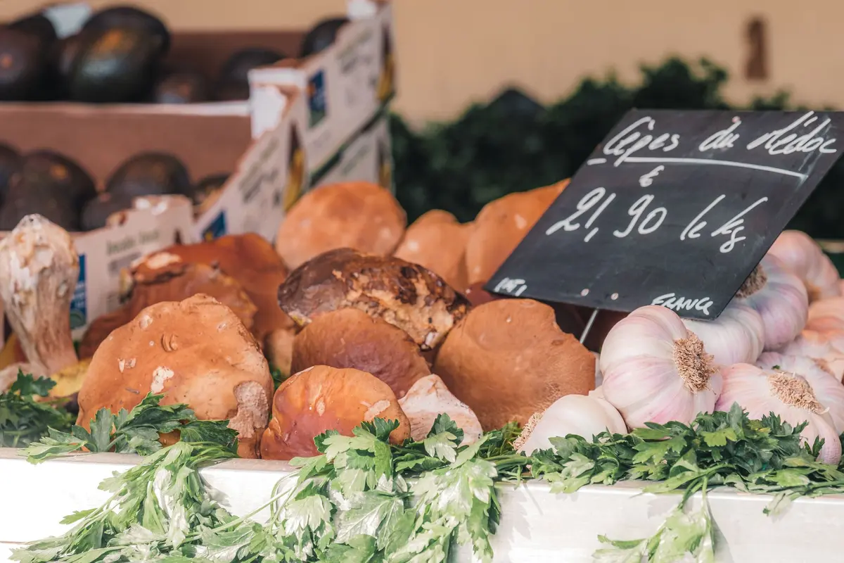 March&eacute; Calixte Camelle