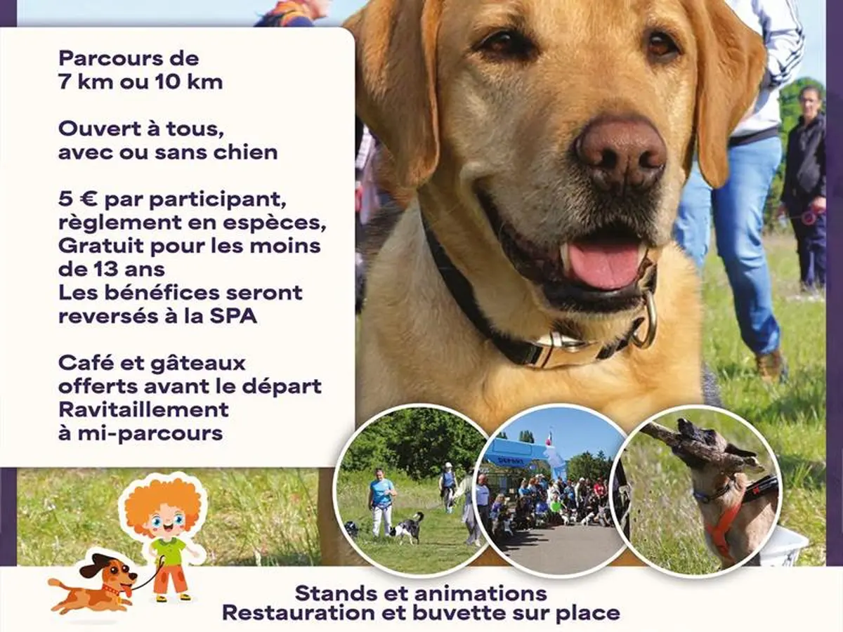 Marche canine