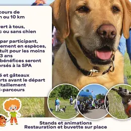 Marche canine