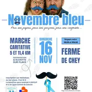 Marche caritative « Novembre bleu » à Niort