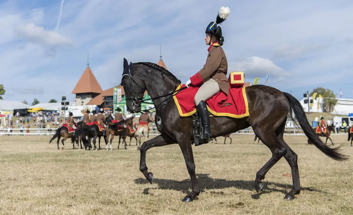 Marché-Concours National de Chevaux