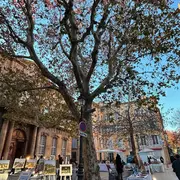 Marché d'artistes d'Art et création du Sud