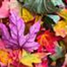 Marché d'automne