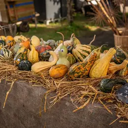 Marché d'automne