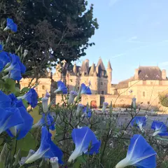 Marché d'automne