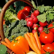 Marché d'été à la ferme de la Reversaie