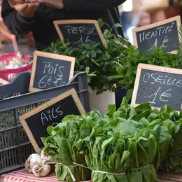 Marché d'été à Saint-Cirq Lapopie