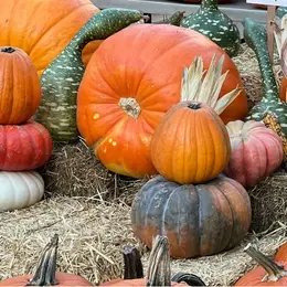 Marché d'Halloween