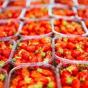 Marché de Bazas le samedi