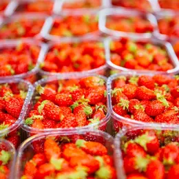 Marché de Bazas le samedi