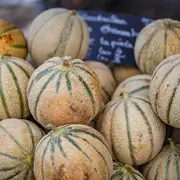 Marché de Champagné-Saint-Hilaire