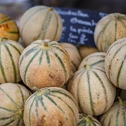 Marché de Champagné-Saint-Hilaire