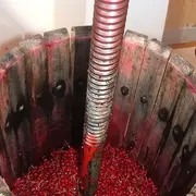 Marché de la groseille