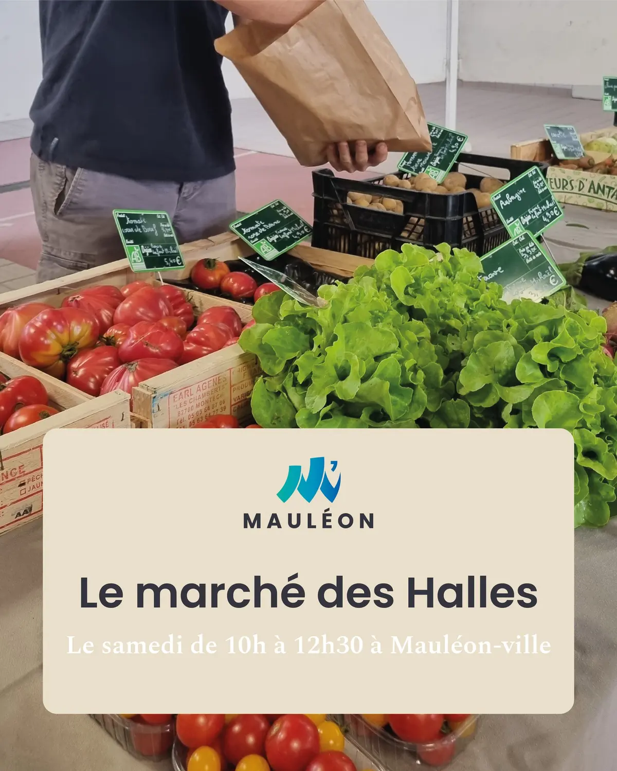 Marché de Mauléon