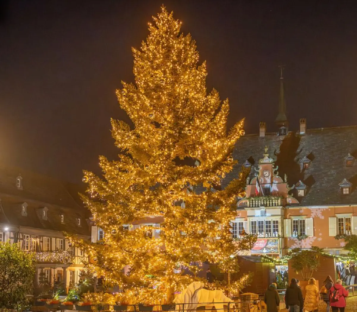 Le sapin trône fièrement à Barr