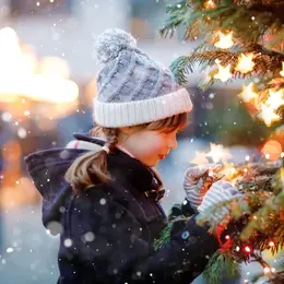 Marché de Noël à Beaune : le Festi'Noël à la Porte Marie de Bourgogne