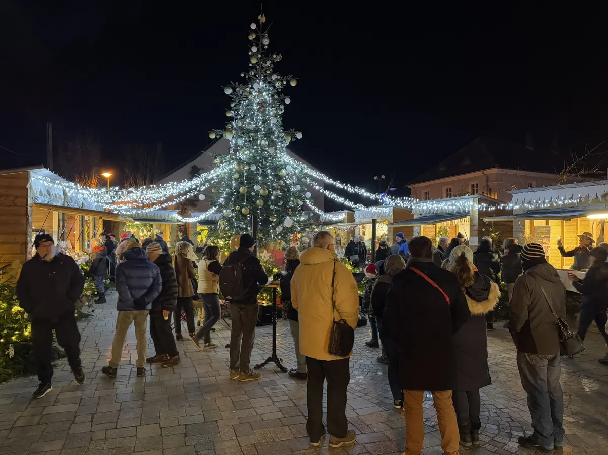 Les cabanons et le sapin du marché de Noël de Brunstatt