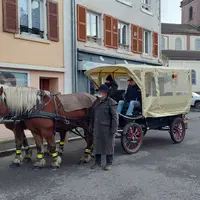 Un tour en calèche au Marché de Noël de Dannemarie DR