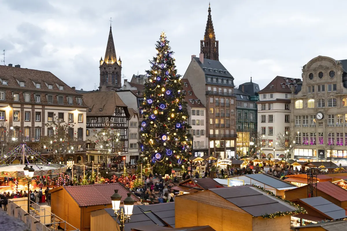 La place Kléber accueille le grand sapin de Strasbourg