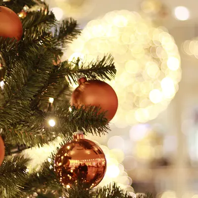 Marché de Noël à Toul 2025