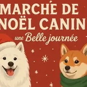 Marché De Noël Canin