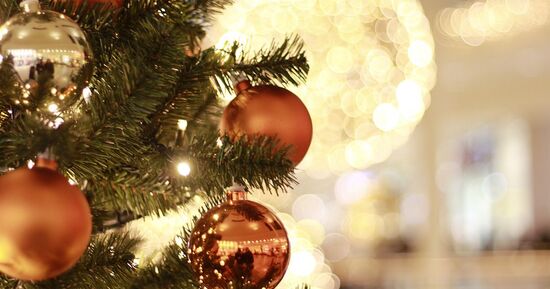 Où sortir à Montpellier ce week-end du 5 au 7 décembre ? Notre top 5